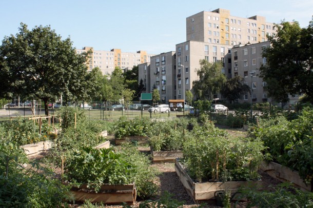 A közösségi kertek segítik az egymás mellett él?k megismerését