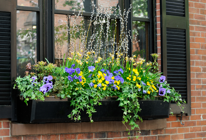 Tavaszi virágládák az ablakodba – Íme, egy kis inspiráció!