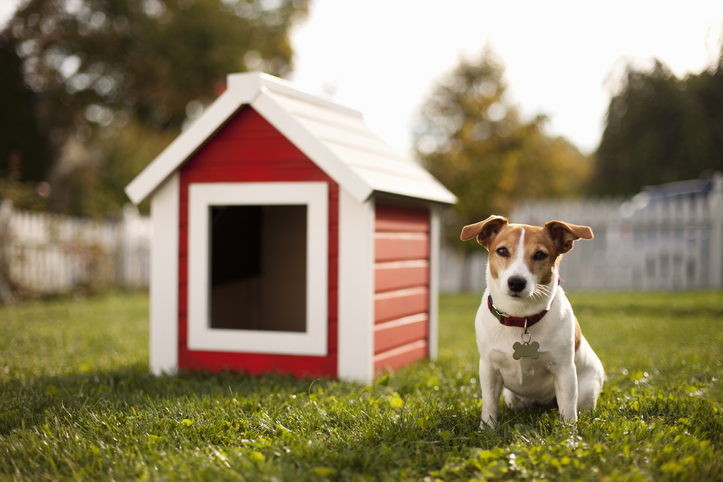 Ilyet még tuti nem láttál – A legötletesebb kutyaházak, melyektől leesik az állad