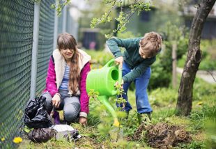 6 hasznos kerti tipp – Így készítsd fel a gyepet tavaszra