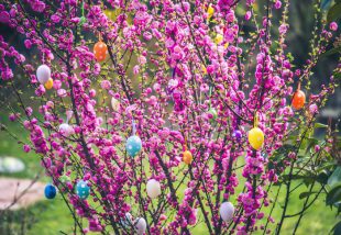 húsvéti kertdekor