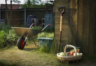 5 szerszám, amire mindenképp szükséged van, ha rendezett kertet szeretnél