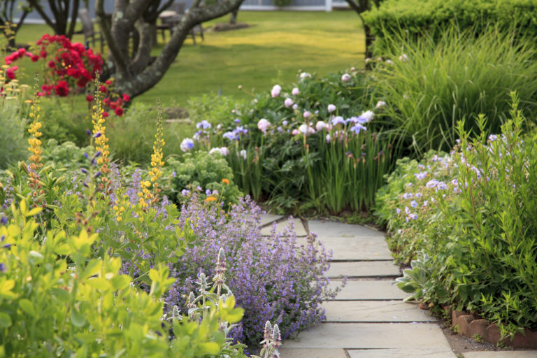 Íme, a legegyszerűbb kerti út ötletek, amelyek garantáltan feldobják az udvarod