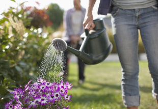 Az 5 leggyakoribb kertészkedési hiba