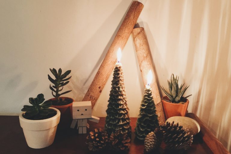 Szukkulens karácsonyfa – Ez 2020 legmenőbb karácsonyi dekorációja