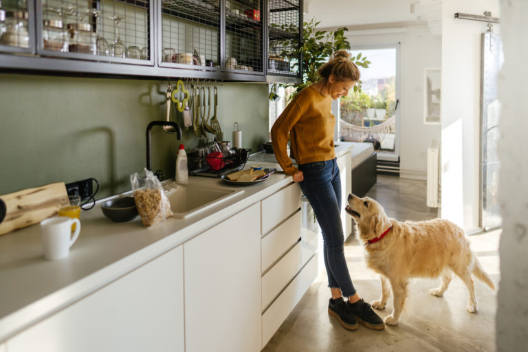 Mindig sáros a lakás a kutyád miatt? 5 tipp, amivel megóvhatod a házat a koszos mancsoktól