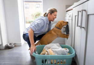 Kutyaszőr a mosógépben? Ezzel a 4 trükkel megszabadulhatsz tőle