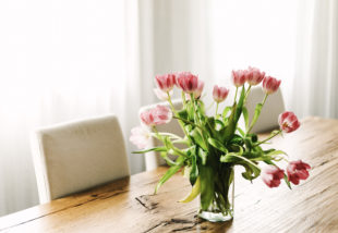Így marad tovább szép a tulipán – Ezeket a trükköket biztosan nem ismered