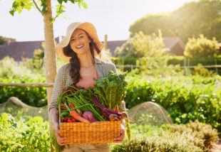 5 fontos tipp, amit mindenképpen fogadj meg zöldségeskert kialakítása előtt