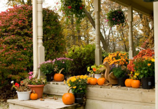 6 trendi őszi terasz dekoráció – Így teremts autentikus hangulatot már a bejáratnál
