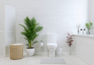 A fehér WC titka – Ezek a szerek még a legmakacsabb foltokat is eltávolítják
