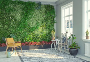 DIY beltéri növényfal – Mutatjuk, hogyan készítheted el a lakberendezők kedvenc modern fali díszét
