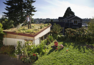 Környezetbarát építő- és burkolóanyagok – Tedd zöldebbé otthonod már az alapoktól kezdve