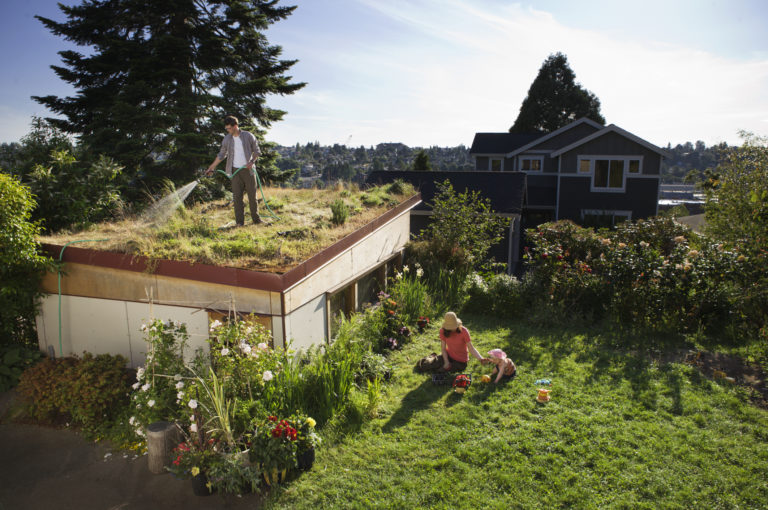 Környezetbarát építő- és burkolóanyagok – Tedd zöldebbé otthonod már az alapoktól kezdve