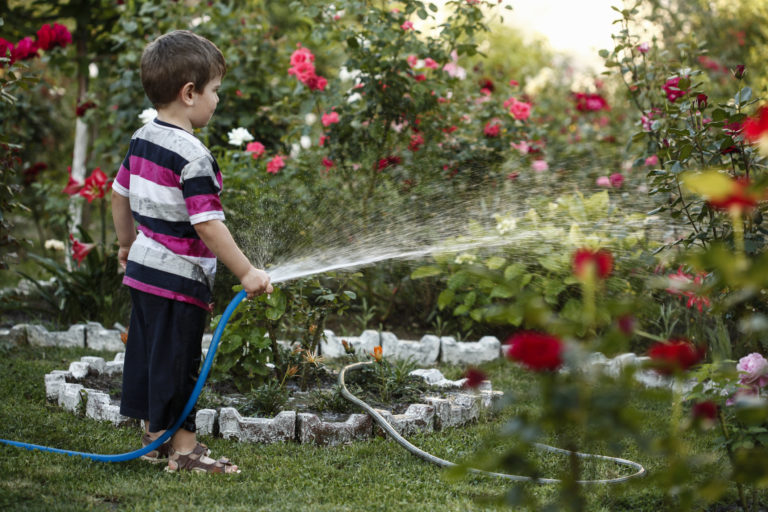 Okosan a vízzel a kertben is! – 3 hatékony tipp hozzá