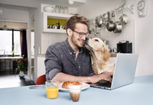 Home office-ban dolgozol? Így fog kevesebbet fogyasztani a laptopod