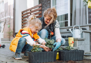 Jó, ha ezeket tudod a konténer kertészkedésről – Az első lépések és a tipikus hibák
