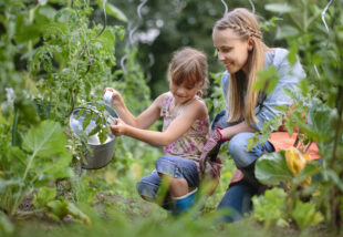 Zöld otthon tippek – A környezetbarát kert és kertészkedés alapjai