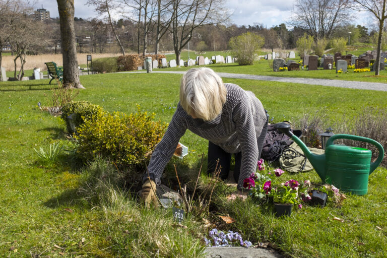 Mit ültess a sírhelyre tavasszal?